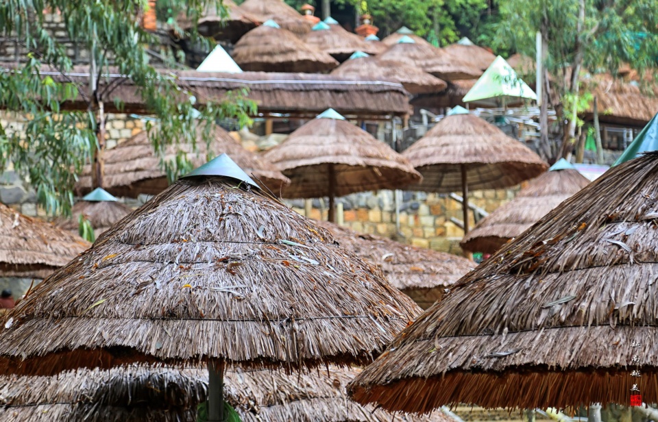 越南芽庄泥浆浴在哪个岛上,游越南芽庄享受泥浆浴