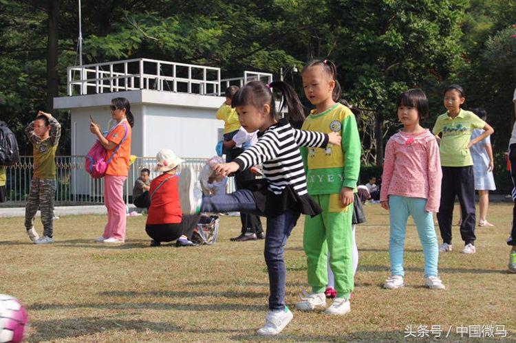 儿童足球队雄鹰,小小足球运动员早教课