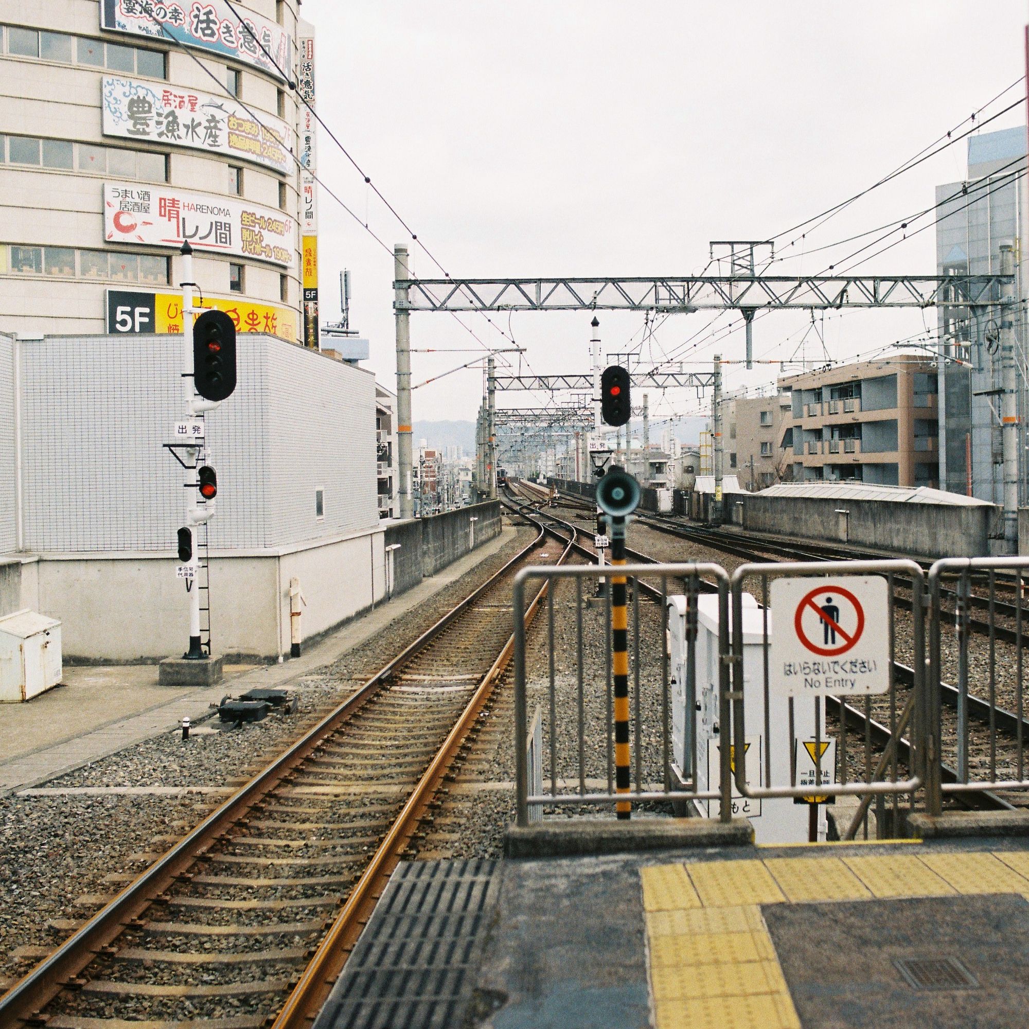 日本亲子游自由行攻略,日本旅游性价比攻略