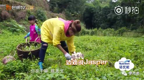 应采儿jasper为陈小春应援 (jasper看应采儿亲陈小春的眼神)