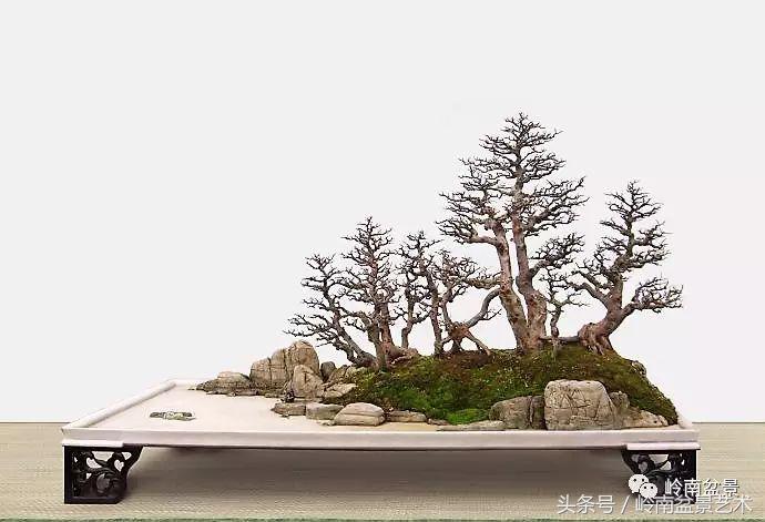 雀梅盆景价格在五千元至二万元的,经典中式庭院雀梅盆景100万以上