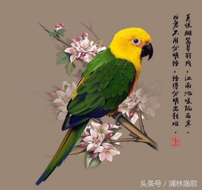 描写动物的古诗十首,十首关于动物的古诗