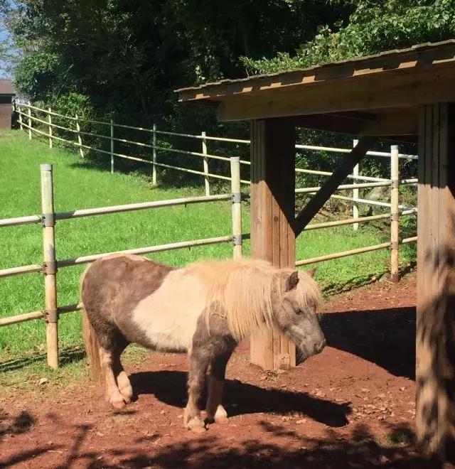 Trip丨如何在济州岛练就“济州瘫”（下部）