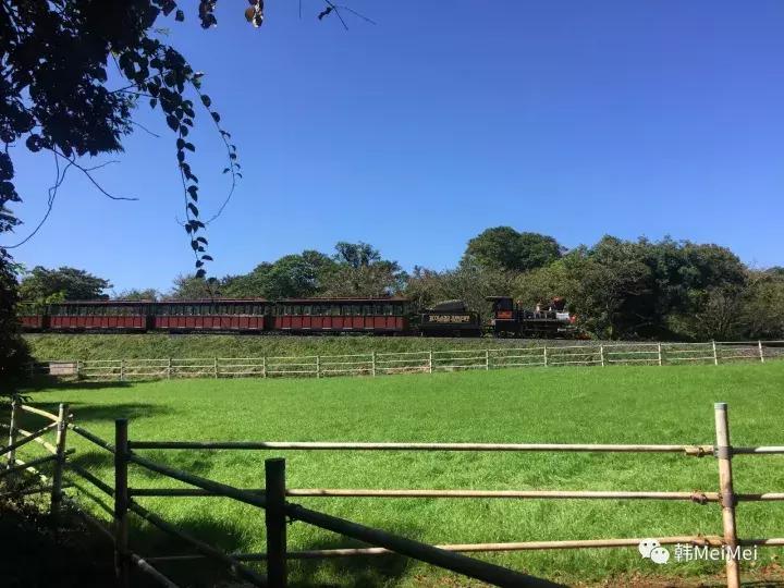 Trip丨如何在济州岛练就“济州瘫”（下部）