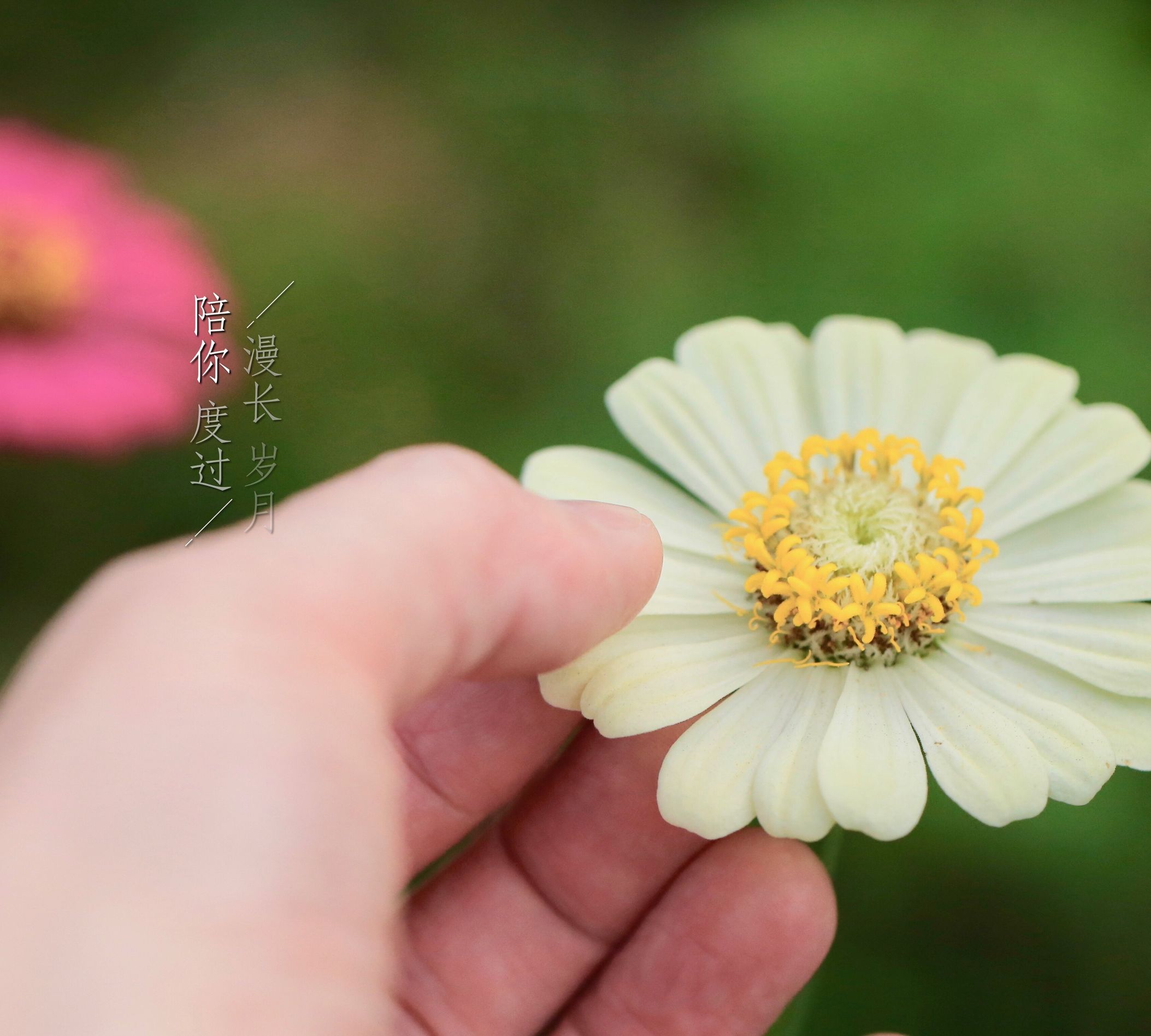微信朋友圈相册图片封面简单干净,朋友圈20张图片拼图