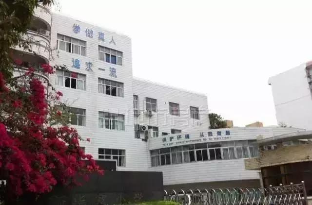 深圳福田前十名好的小学,深圳福田区小学排名前100名