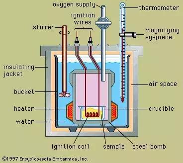 食物卡路里表大全减肥,减肥各种食物卡路里表