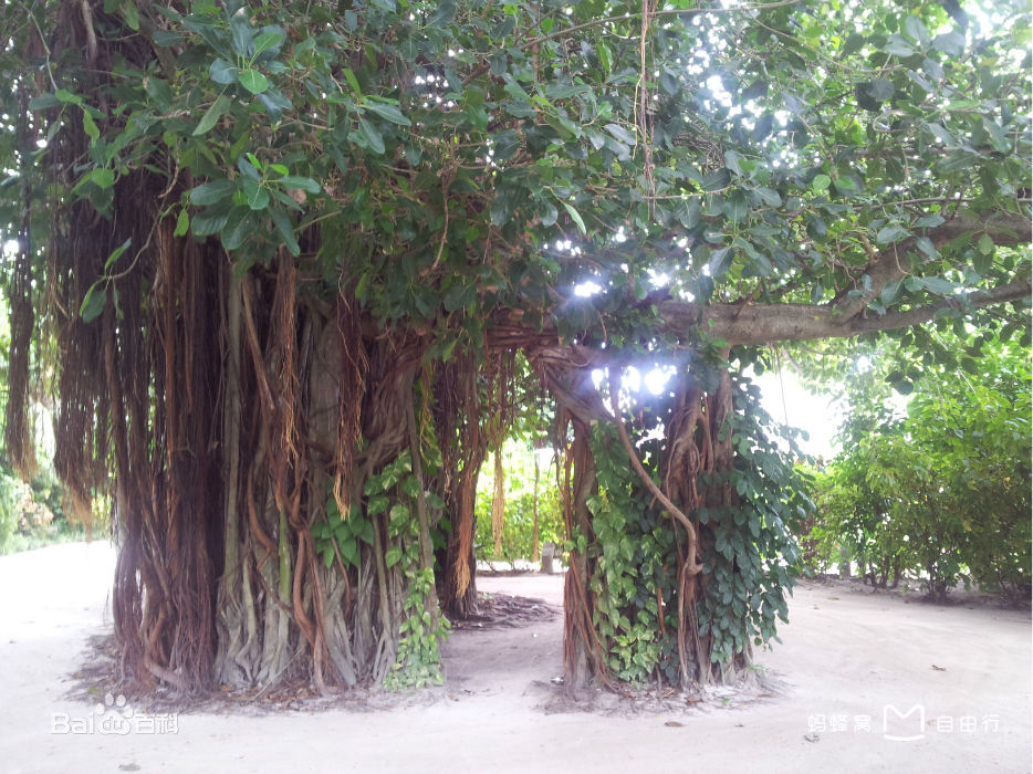 马尔代夫满月岛,满月岛