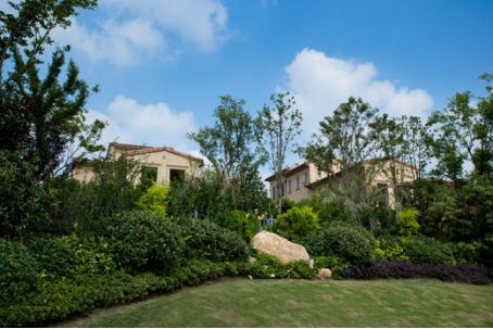 纳帕溪谷景观,汤逊湖东原纳帕溪谷别墅