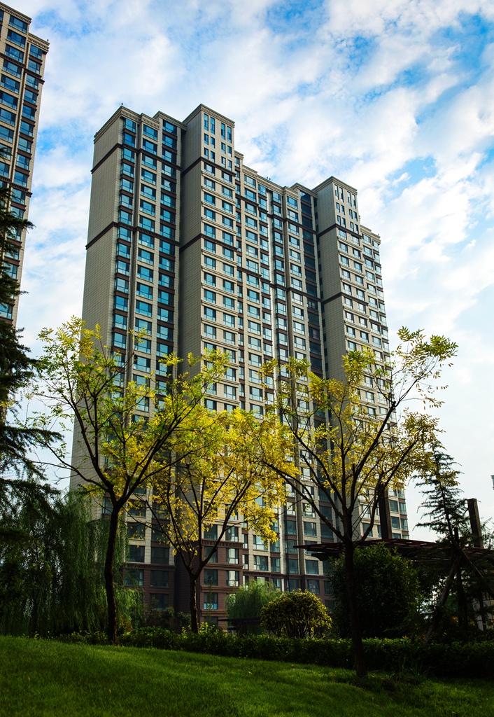 寮犺穬闈欑墿鎽勫奖,寮犺穬鐓х墖