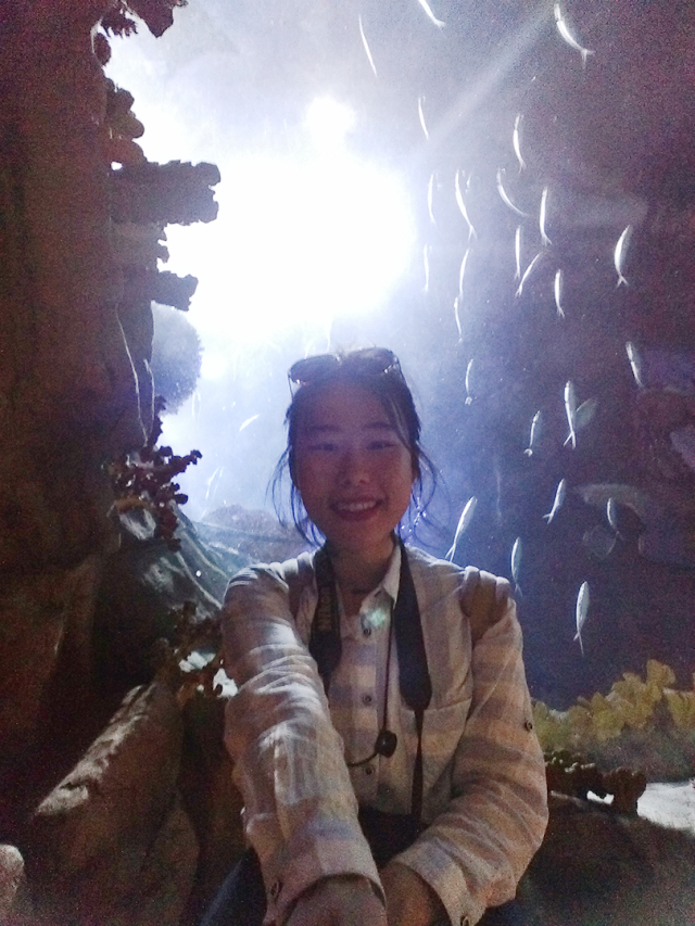 玩遍香港攻略,香港怎么玩最省钱攻略