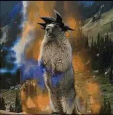 十大美妆品女生必买排行榜,双十一美妆好物推荐