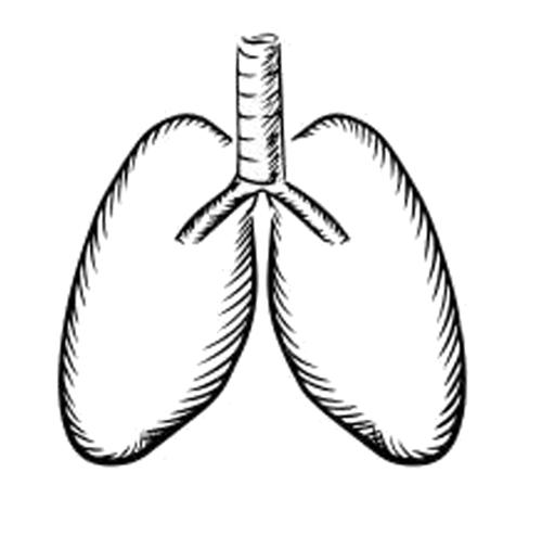 肺癌术前做的各种检查都是为什么？