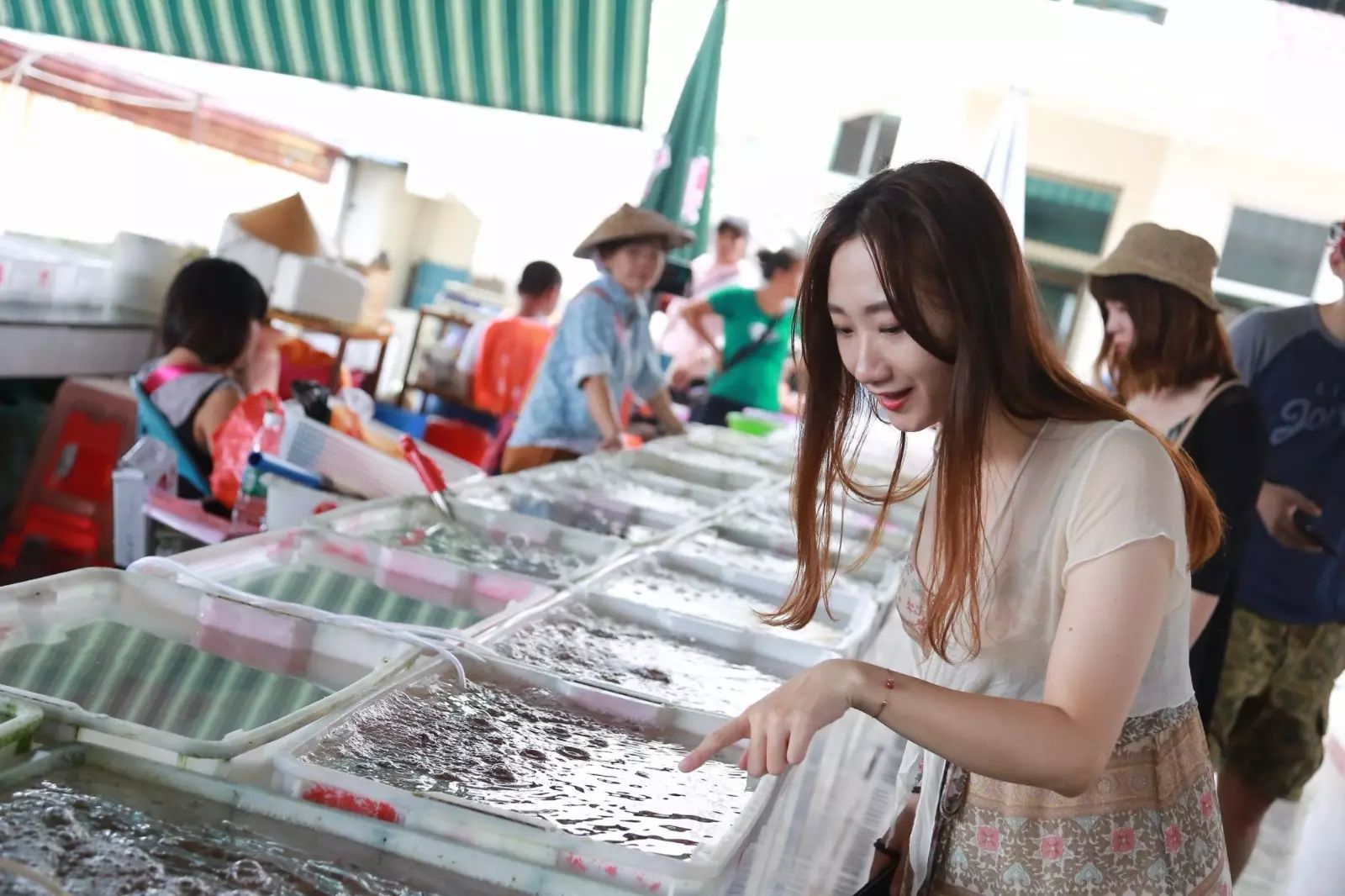 陵水分界洲岛一日游攻略,陵水椰子岛一日游攻略