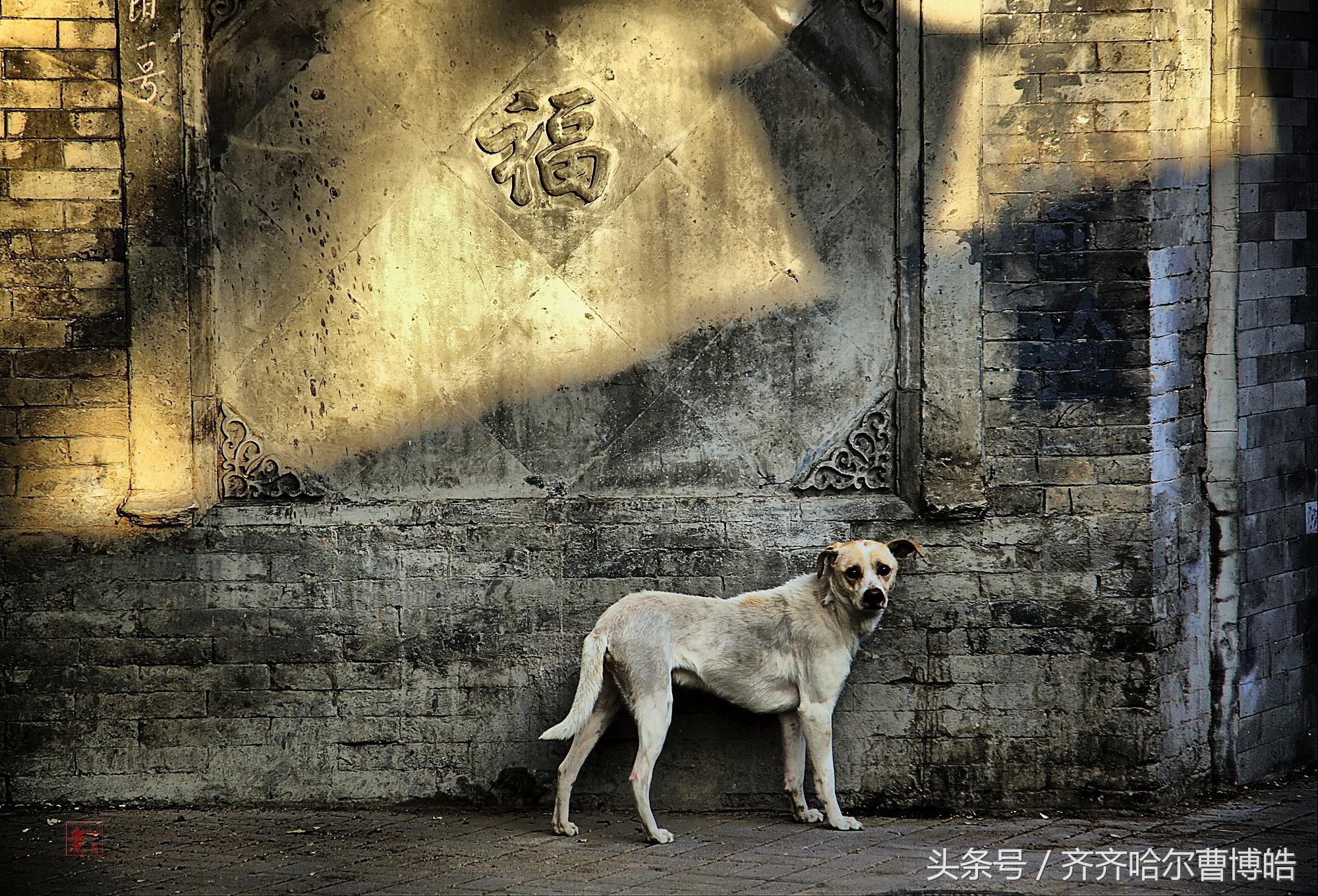 齐齐哈尔老城记忆,齐齐哈尔老北大街