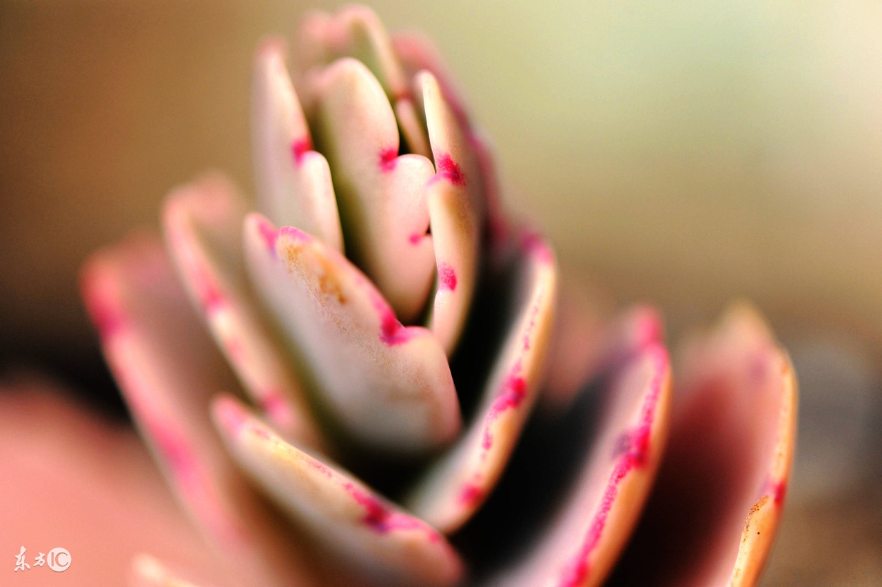 十大赚钱思维方法,史上最牛赚钱思维