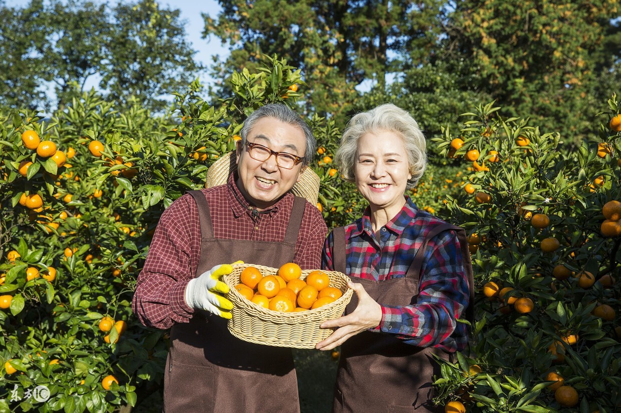 多年柑橘树不开花的原因,柑橘树只开花不结果什么原因