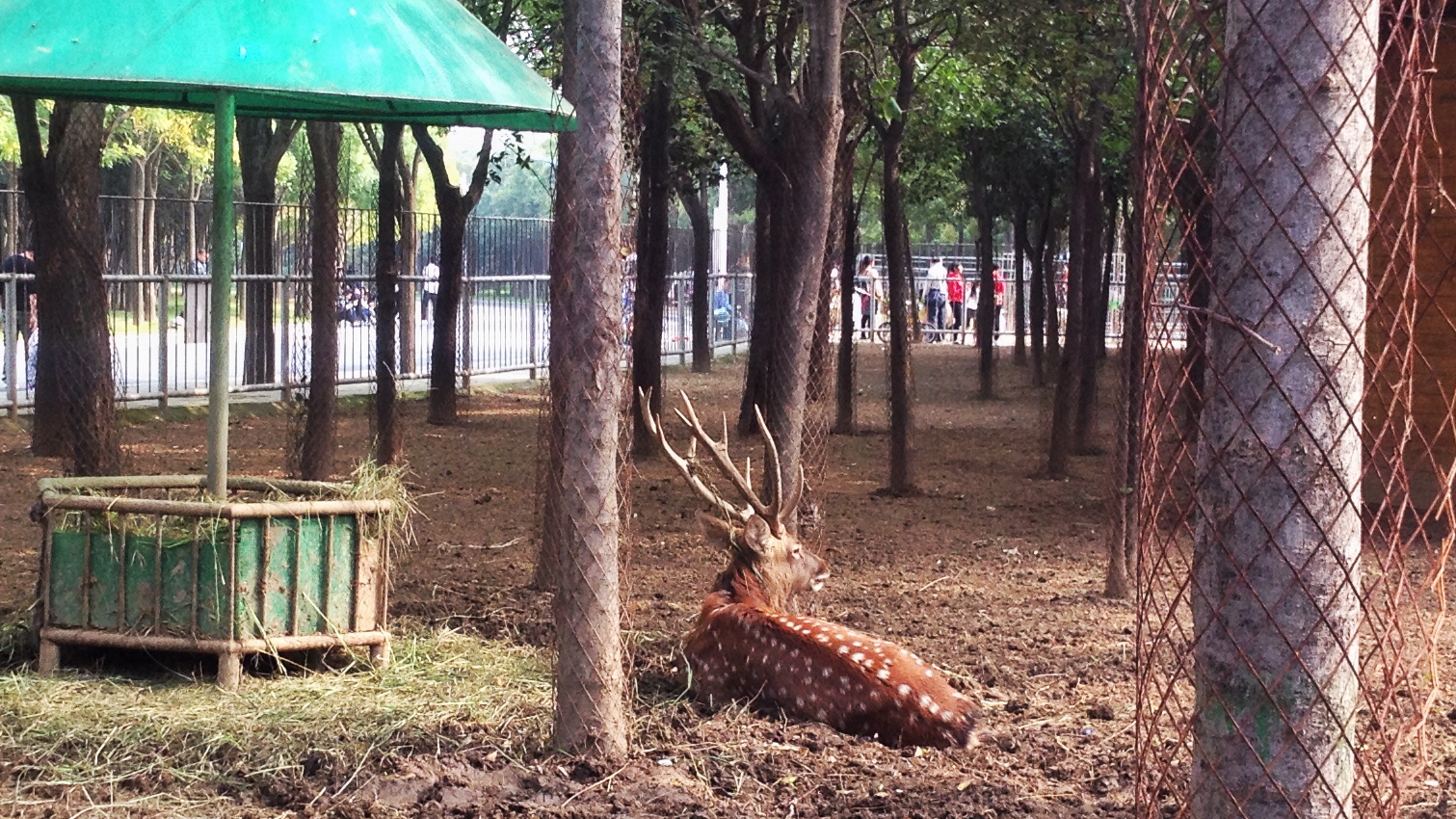 iphone4s经典怀旧版,12年前的苹果4s拍照有多牛