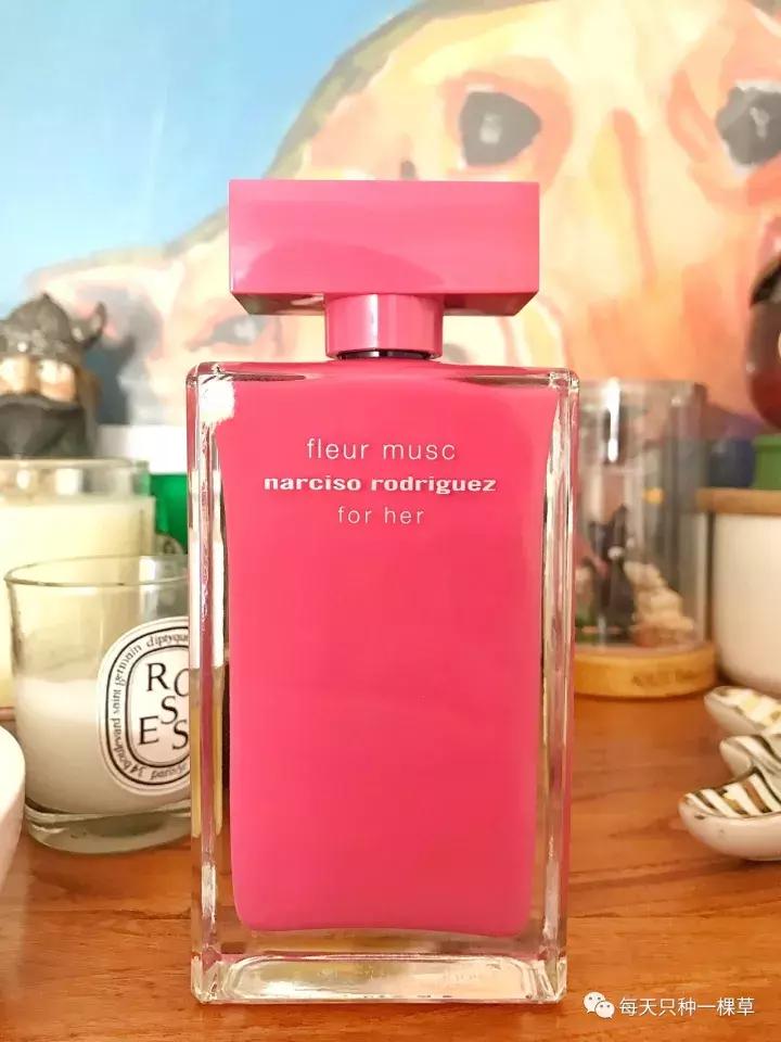 双十一你买什么最划算,双十一你们都买啥推荐一下