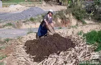 深度解析有机食品,深度解析腐植酸