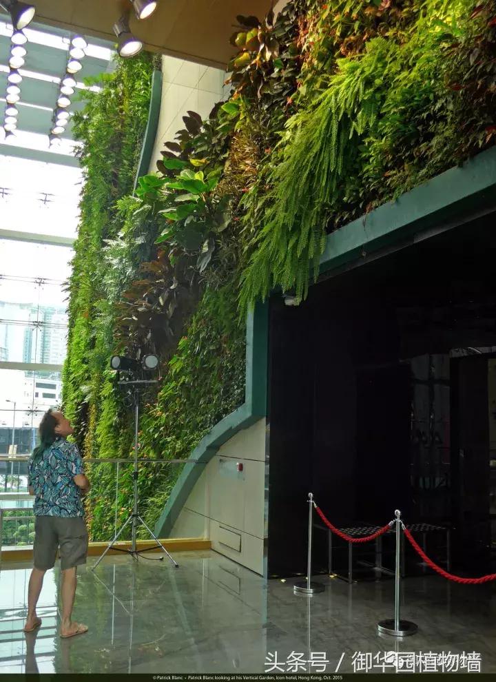 他曾说过：每一面植物墙都是一个花园……