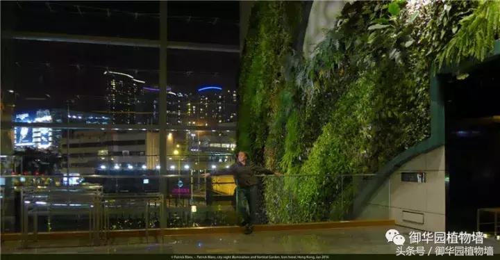 他曾说过：每一面植物墙都是一个花园……