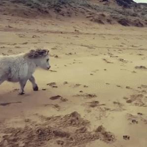 澶ц劯鐚殑鐑︽伡,澶ц劯鐚殑鐑︽伡瑙h