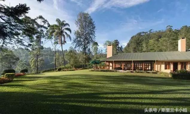 罗莱夏朵在中国性价比最高的酒店,国内的罗莱夏朵酒店