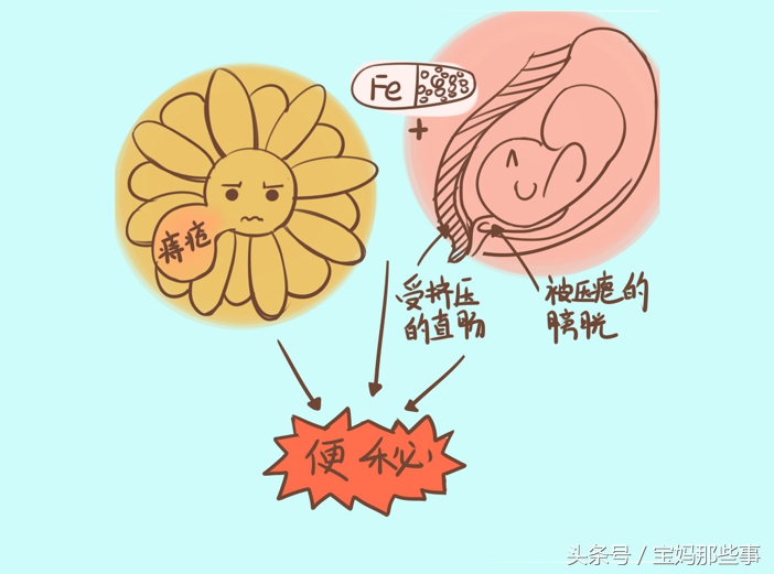 怀孕了天天和妈吵架,孕七月孕妇拉屎频繁