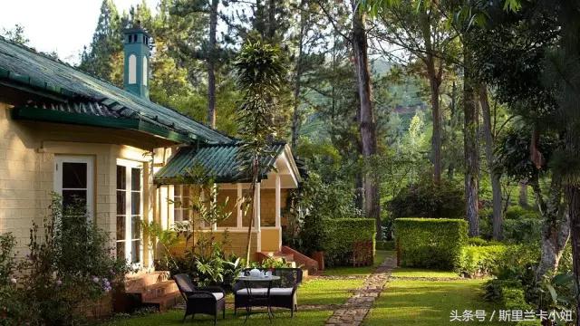 罗莱夏朵在中国性价比最高的酒店,国内的罗莱夏朵酒店