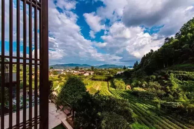 武夷山最好的别墅民宿,武夷山最值得一住的民宿