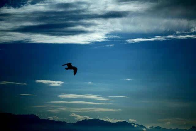 三十而立的你都是什么样的,三十而立感悟人生