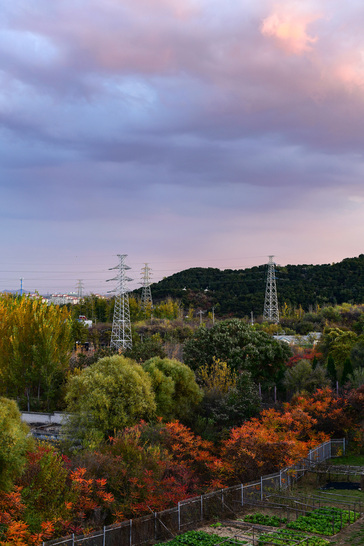 尼康d850如何拍摄出4亿像素,尼康d850各镜头测评