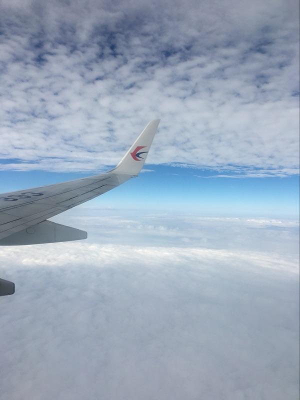 对不起，我出国旅游不是为了帮你代购！