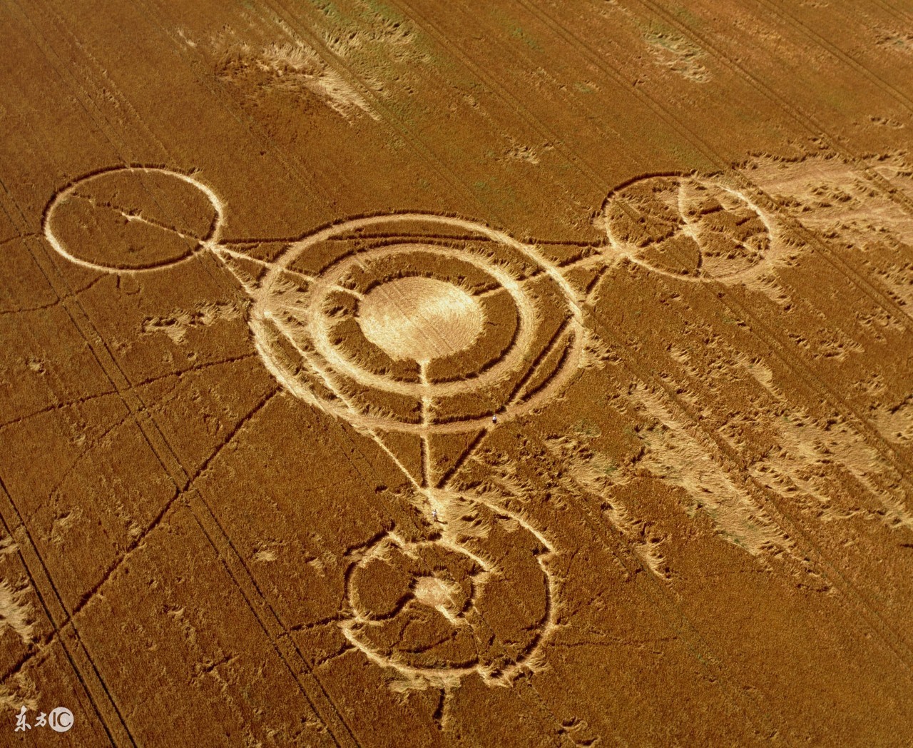 手把手教你创意农业,千万别小看创意农业