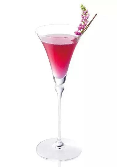 适合新手小白入门的金酒,金酒新手推荐