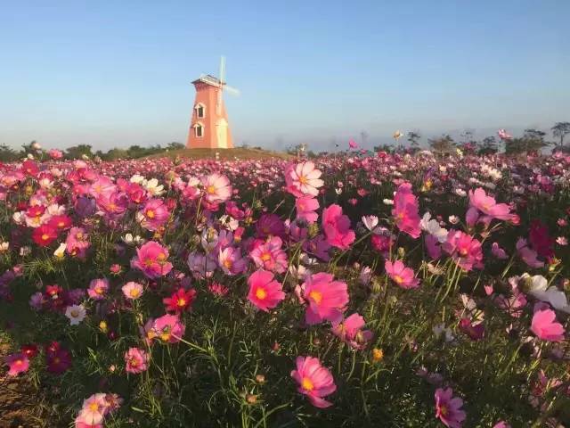 双十一光棍节活动主题,双十一光棍节图集