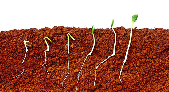 自学八字命理第13课视频,八字命理初级详细课程