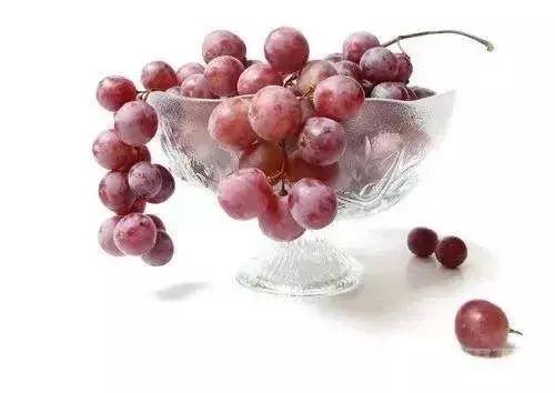 你是如何对待狗的,如果你打你家自己的狗会怎么样