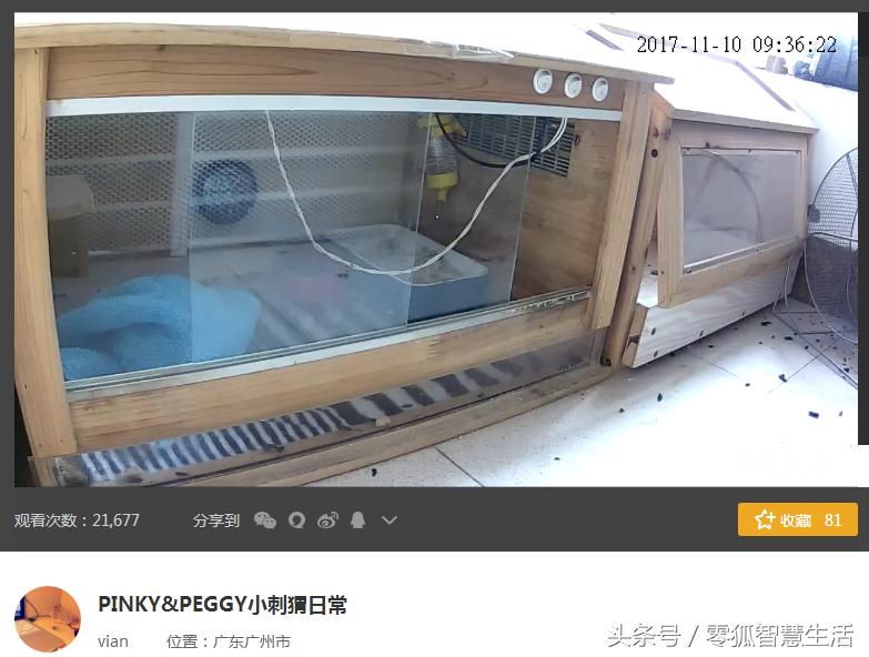 炒作、搏出位、想红?直播室内监控画面为哪般