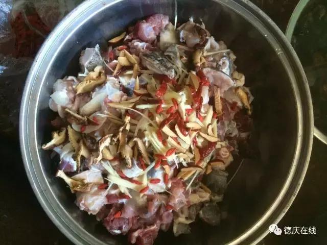 德庆鳄鱼龟,30万在深山养鳄鱼龟