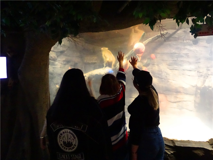 台州一日游的绝佳去处,台州旅游小众秘境