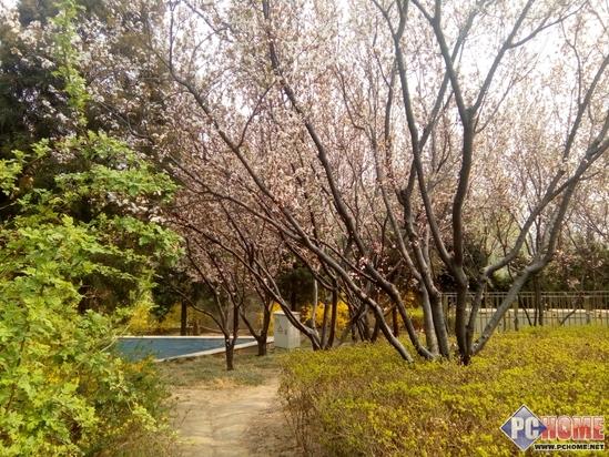 499元双卡全网小辣椒国民全网通评测