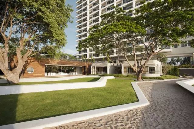 观赏性最好的草坪,大型的景观草坪