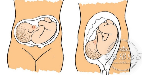 超实用的孕期检查时间表