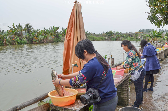 游玩增城新塘,游玩增城