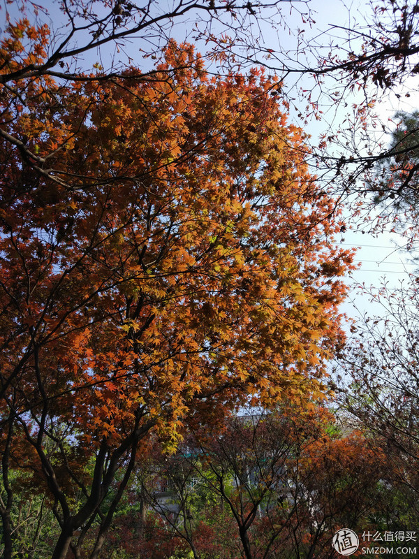 小米5测评视频,小米5使用体验感受如何