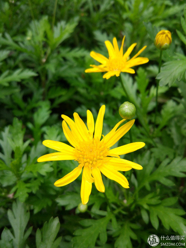 小米5测评视频,小米5使用体验感受如何