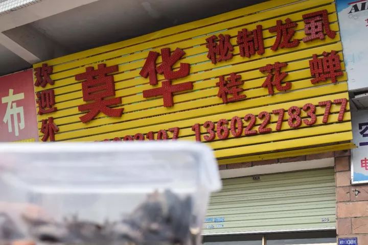 番禺区钟村南站,番禺钟村站