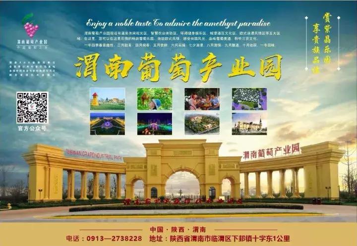 渭南葡萄产业园2020年项目,渭南下邽镇葡萄产业园活动